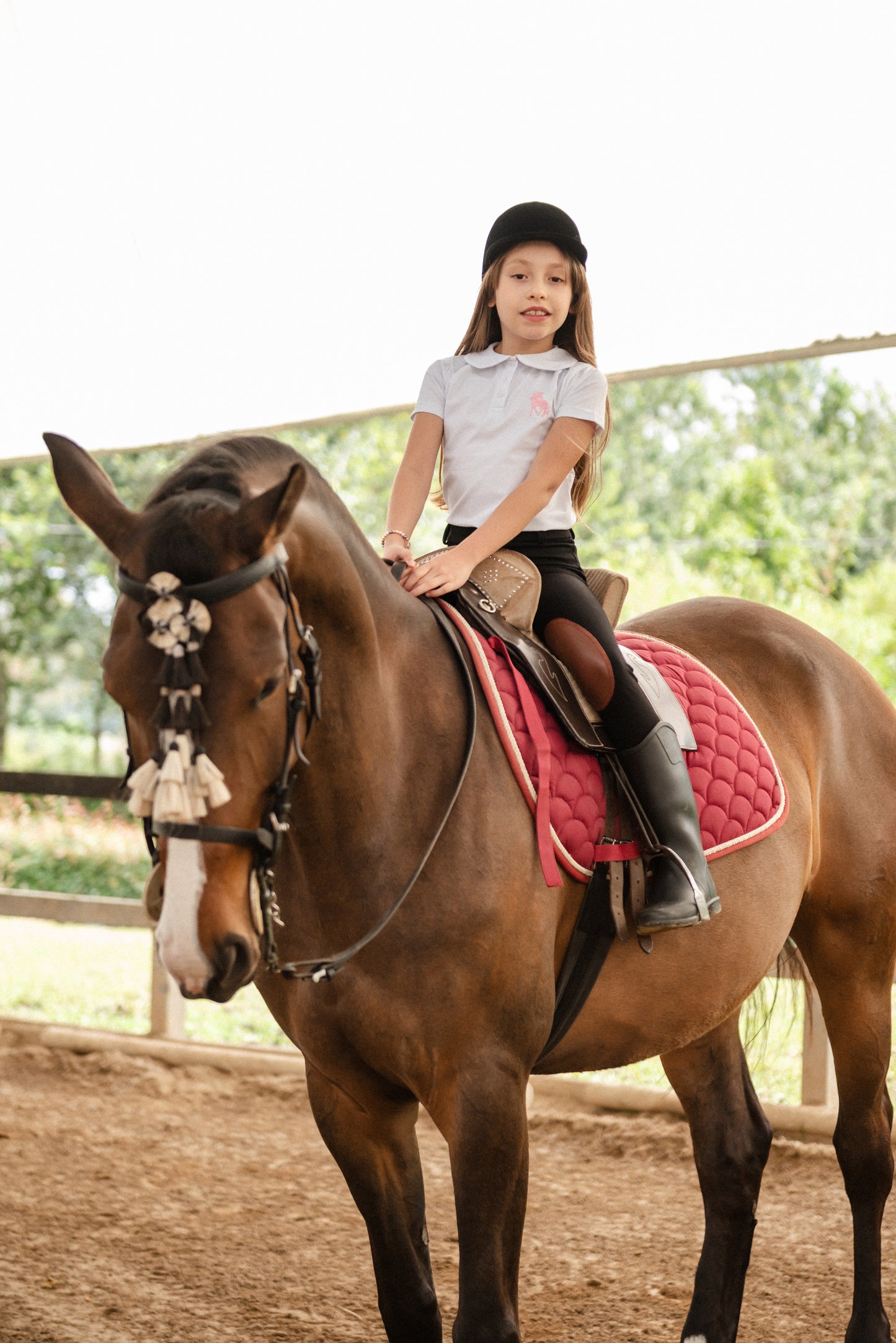 Camiseta Charlotte